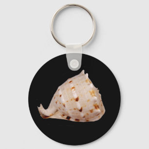 Llavero Anillo de claves de shell de conch