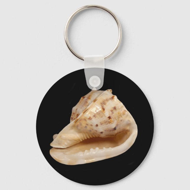Llavero Anillo de claves de shell de conch (Anverso)