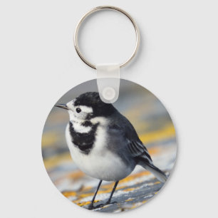 Llavero Anillo de claves de Wagtail de tubería