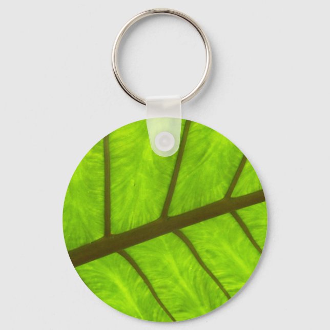 Llavero Anillo de claves Elephant Ear Taro (Anverso)