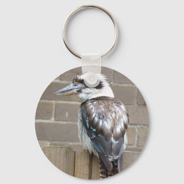 Llavero Anillo de claves Kookaburra (Anverso)