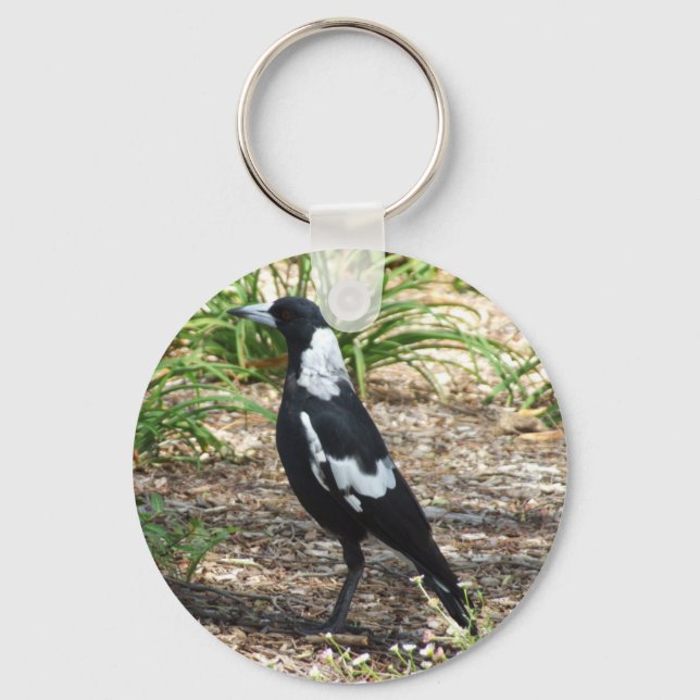Llavero Anillo de claves magpie australiano (Anverso)