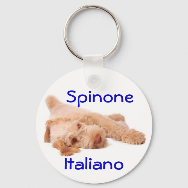 Llavero Anillo de claves - Spinone Italiano. (Anverso)