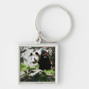 Llavero Anillo de la llave de sonda Panda Smile