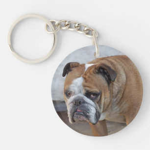 Llavero Anillo de llaves acrílicas del Bulldog inglés / 