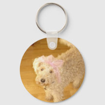 Anillo de llaves lindo lakeland terrier