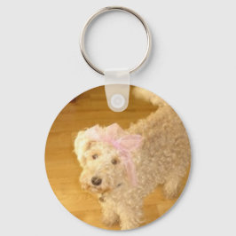 Llavero Anillo de llaves lindo lakeland terrier