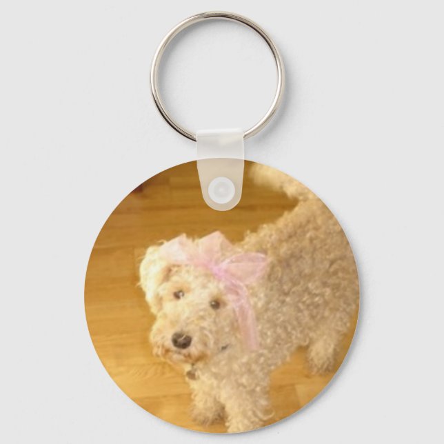 Llavero Anillo de llaves lindo lakeland terrier (Anverso)