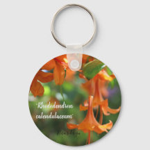 Anillo de teclas de botón