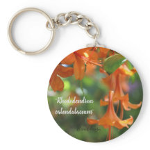 Anillo de teclas de botón