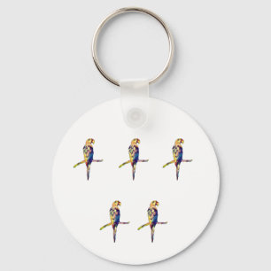 Llavero Anillo de teclas de loro colorido