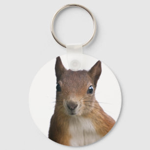Llavero Anillo de teclas de retrato de ardilla