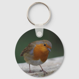 Llavero Anillo Robin Key
