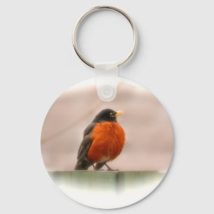 Llavero Animal Bird American Robin