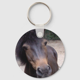 Llavero Animal, caballo, potro