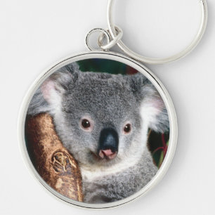 Llavero Animal del país de Australia del oso de koala