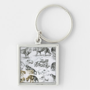 Llavero Animales carnívoros
