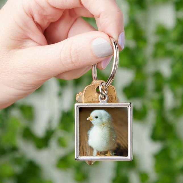 Llavero Animales de bebé más afectados | Baby Chick (Mano)