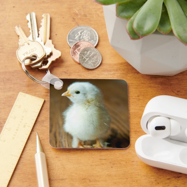 Llavero Animales de bebé más afectados | Baby Chick (Escritorio )