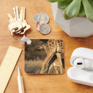 Llavero Animales de bebé más afectados   Baby Giraffe y Pa