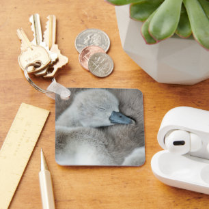 Llavero Animales de bebé más afectados Baby Mute Swan