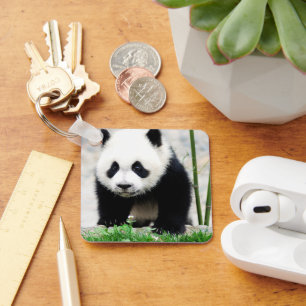 Llavero Animales de bebé más afectados   Baby Panda Bear