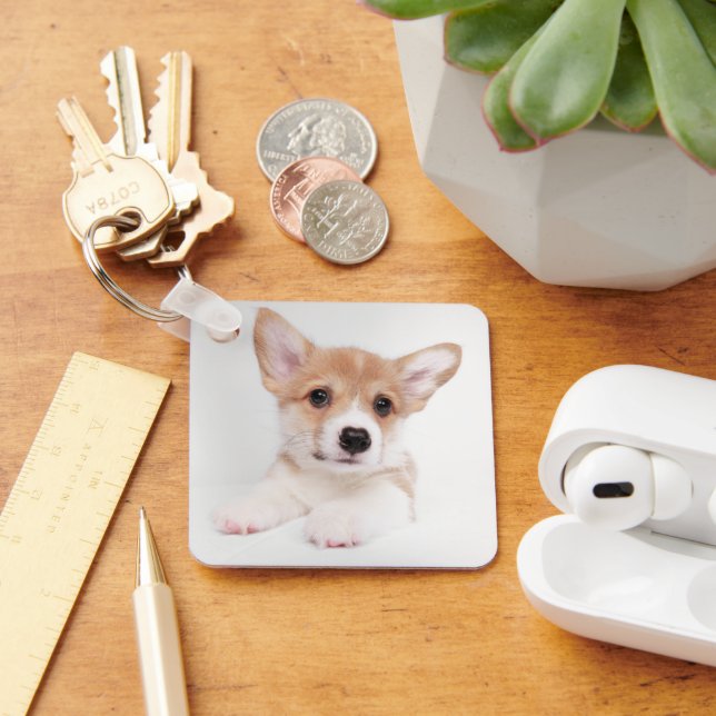 Llavero Animales de bebé más afectados | Bebé dulce Corgi (Escritorio )