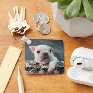 Llavero Animales de bebé más afectados   Bulldog francés
