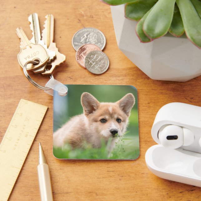 Llavero Animales de bebé más afectados | Cachorro de Corgi (Escritorio )