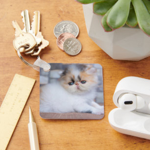 Llavero Animales de bebé más afectados Calico Persian Ki