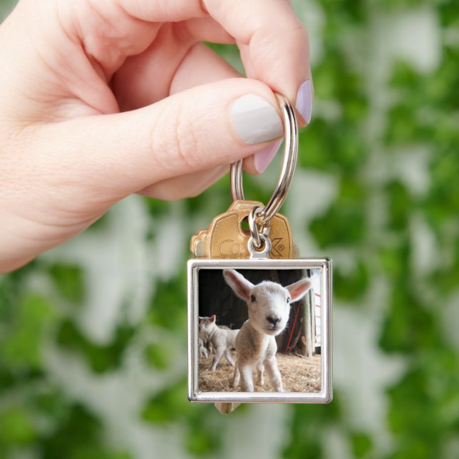 Llavero Animales de bebé más afectados | Cordero blanco en (Mano)