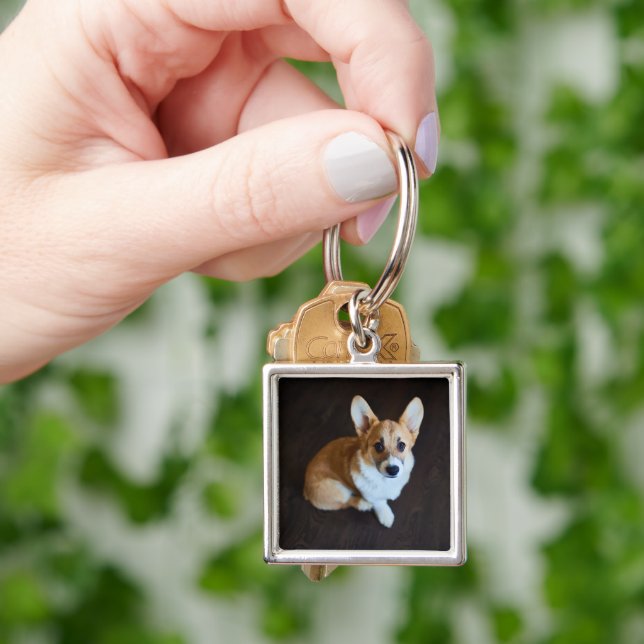 Llavero Animales de bebé más afectados | Corgi Buscando (Mano)