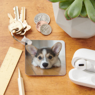 Llavero Animales de bebé más afectados Corgi Puppy