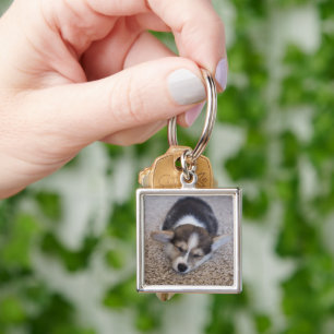 Llavero Animales de bebé más afectados   Corgi Puppy en Sh