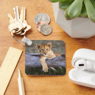 Llavero Animales de bebé más afectados   Cubo de león cort