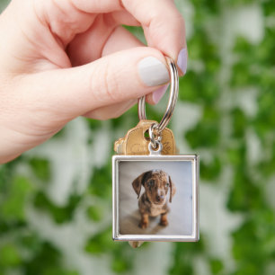 Llavero Animales de bebé más afectados   Dachshund Puppy