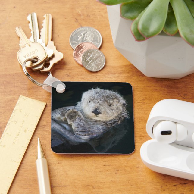 Llavero Animales de bebé más afectados | Flotación de orug (Escritorio )