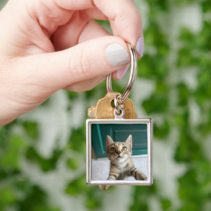 Llavero Animales de bebé más afectados   Gatita Cuta Tabby