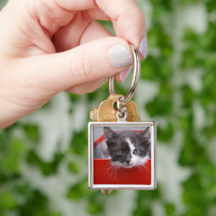 Llavero Animales de bebé más afectados Gatito blanco y n