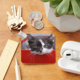 Llavero Animales de bebé más afectados Gatito blanco y n