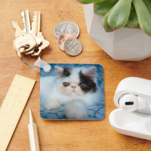 Llavero Animales de bebé más afectados   Gatito blanco y n