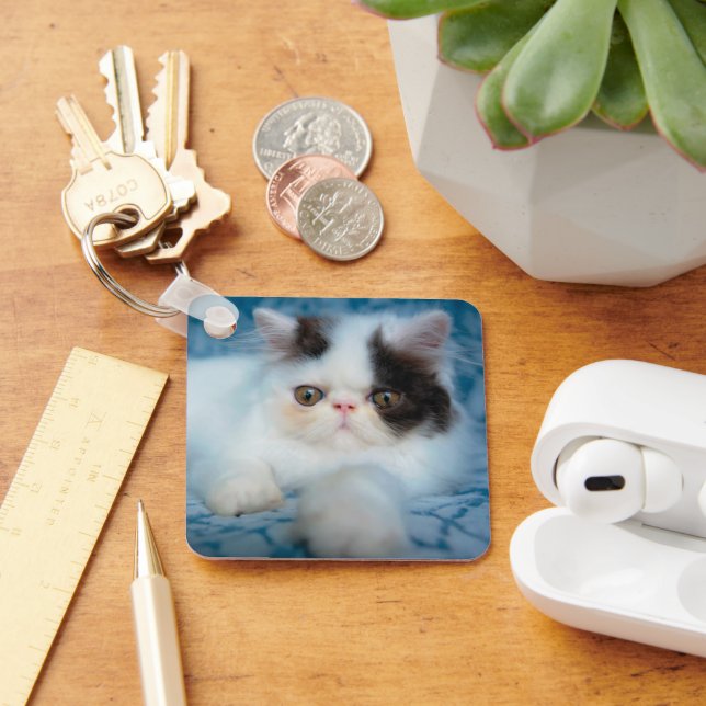 Llavero Animales de bebé más afectados | Gatito blanco y n (Escritorio )