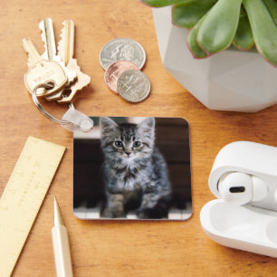 Llavero Animales de bebé más afectados Gatito en llaves