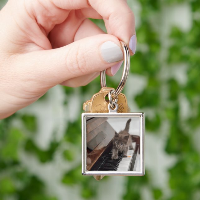 Llavero Animales de bebé más afectados | Gatito en piano (Mano)