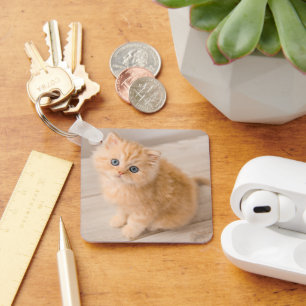 Llavero Animales de bebé más afectados Gatito Longhair B