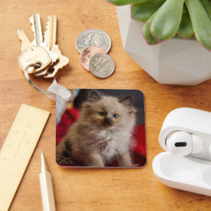 Llavero Animales de bebé más afectados   Gatito siamés