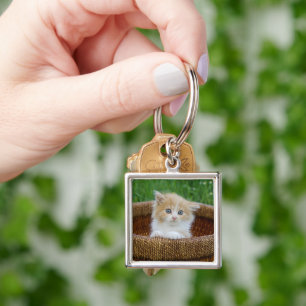 Llavero Animales de bebé más afectados Gatito teñido azu