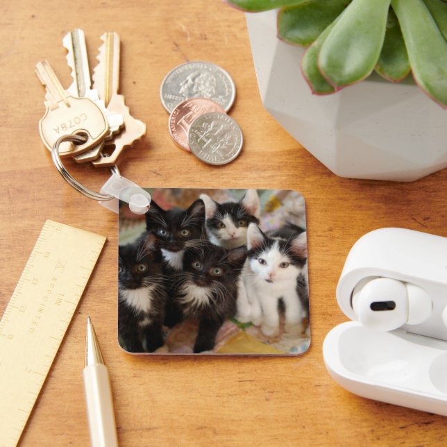 Llavero Animales de bebé más afectados | Gatitos blancos y (Escritorio )