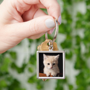 Llavero Animales de bebé más afectados Ginger Kitten