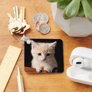 Llavero Animales de bebé más afectados Ginger Kitten
